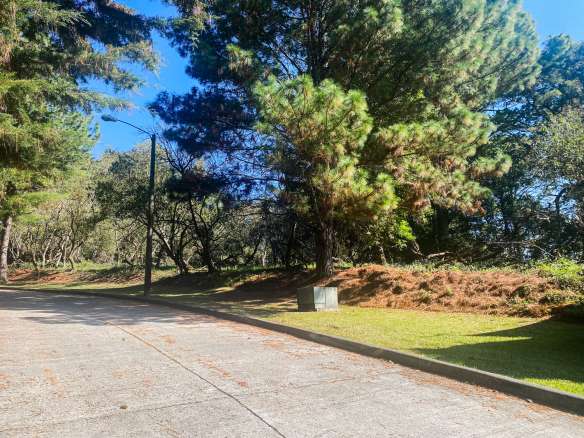 Terreno plano en venta en Condominio Premiere Campestre